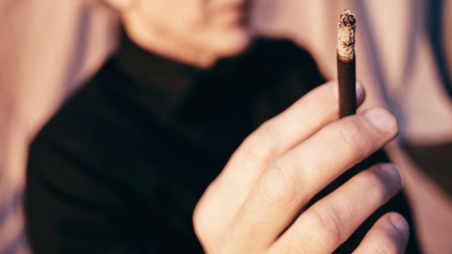 Cigarillos : un recul moins marqué qu'il y a quelques années