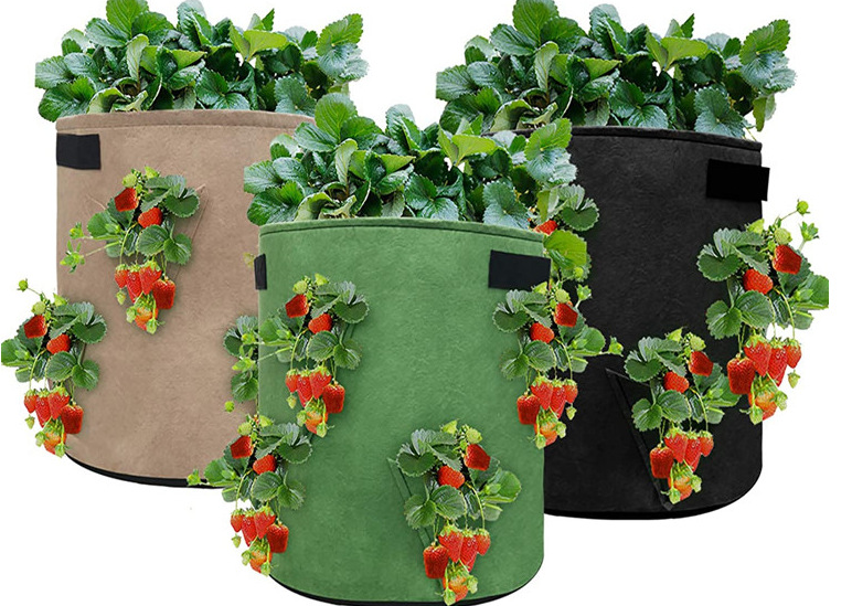 OUTSIDE LIVING INDUSTRIES BREIDT ASSORTIMENT VERDER UIT