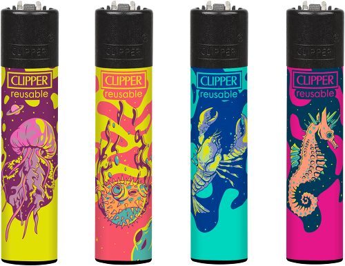 Mignot & De Block distributeur exclusif de Clipper au Benelux