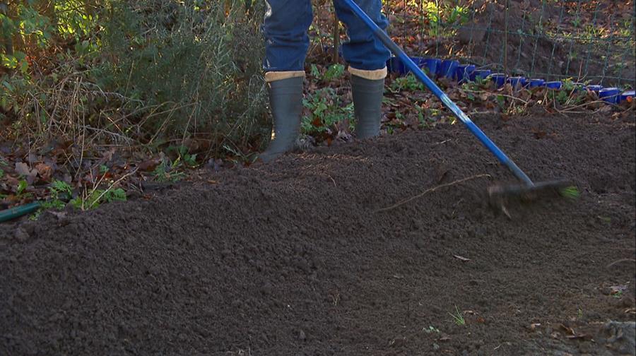 La culture sur butte dans votre jardin