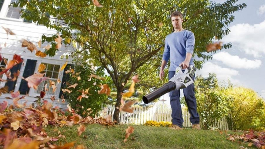 Alles over bladblazers