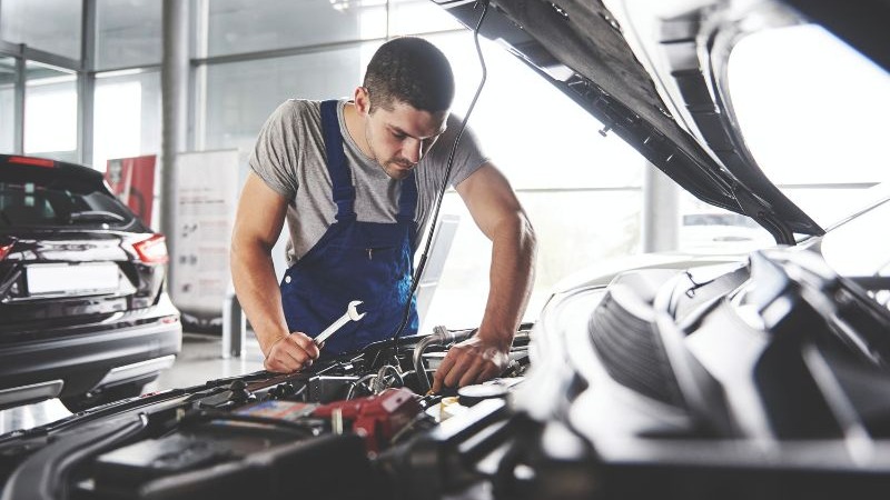 Nieuwe verkoopsstructuur verzekert beschikbaarheid HC-Cargo-aanbod in de Benelux
