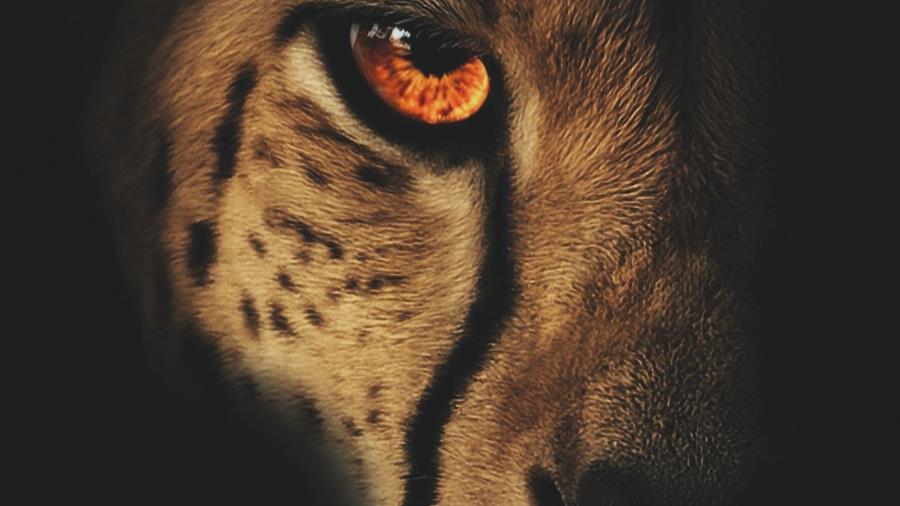 Boeken voorjaar 2026